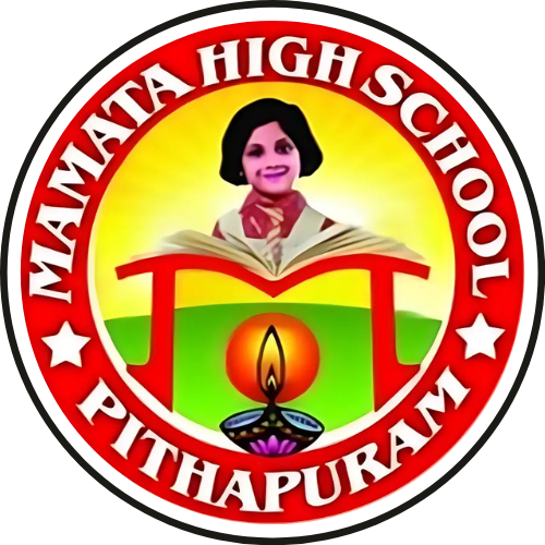 Partner Institution
